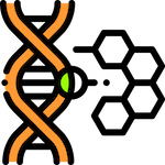 DNA